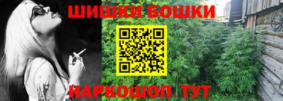 индика Жуковский