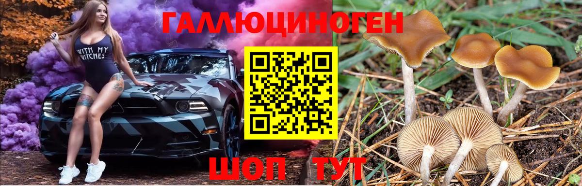 Псилоцибиновые грибы мицелий  Вход с VPN  Вятские Поляны 