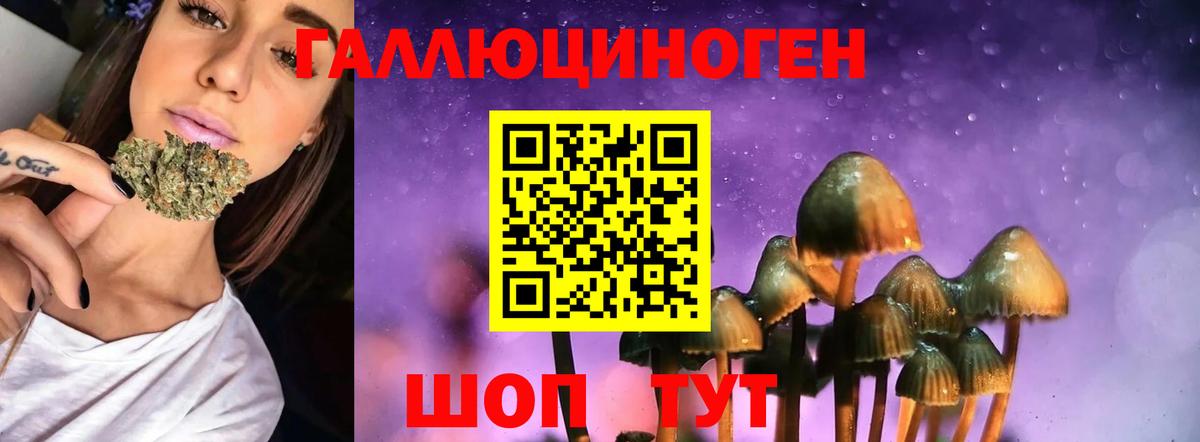 ГЕРОИН Вятские Поляны